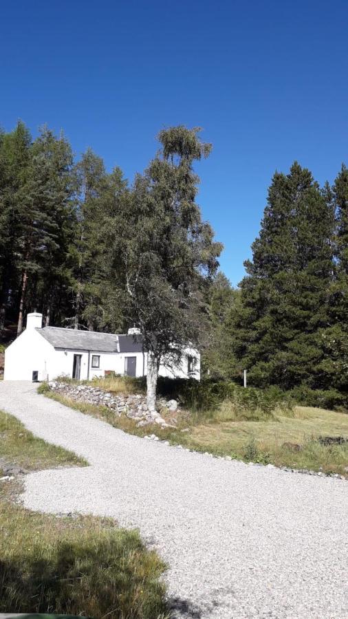Torgoyle Cottage Inverness Exterior photo